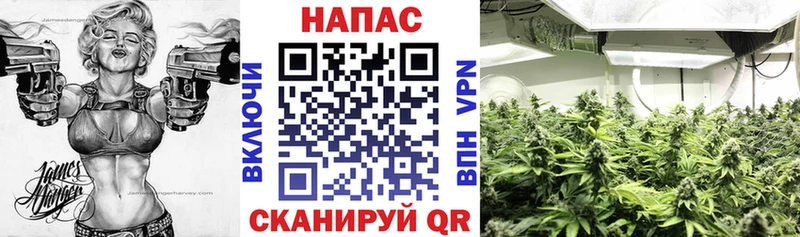 Где купить наркотики Белинский СК  ГАШ  Канабис 