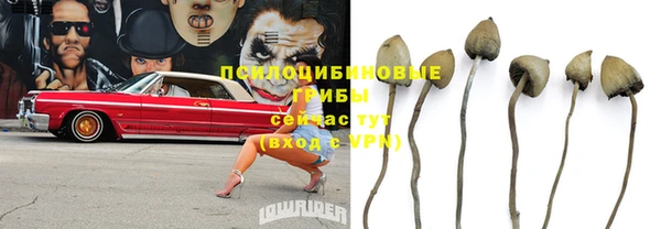 спайс Алексин