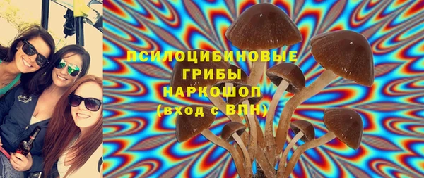 первитин Арсеньев