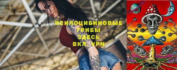 прущая мука Алзамай