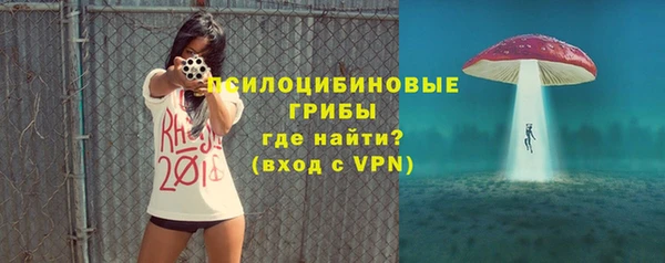 прущая мука Алзамай